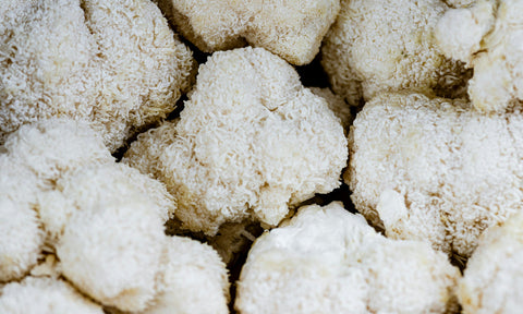 Lions Mane: The Smart Supplement Ingredient You Need to Know About